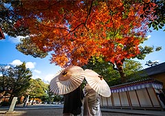 豊川 豊田 神社式 フェアリーブライダル 三河で和婚