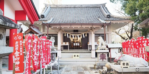 豊川 豊田 神社式 フェアリーブライダル 白山比咩神社